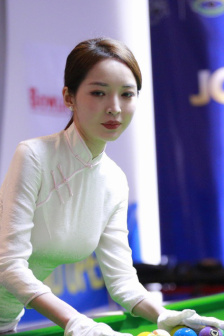 小姐与流浪狗